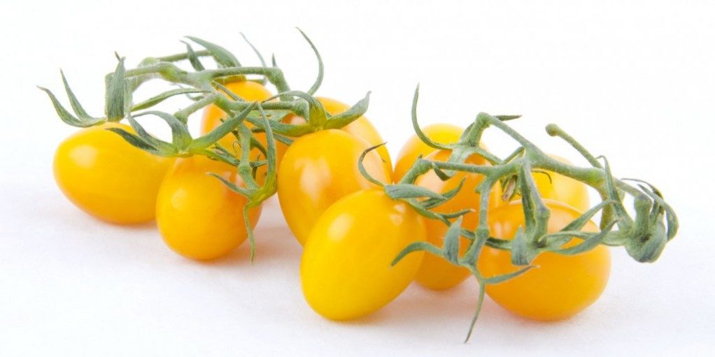 Pomodorino Giallo Pomodorino Giallo