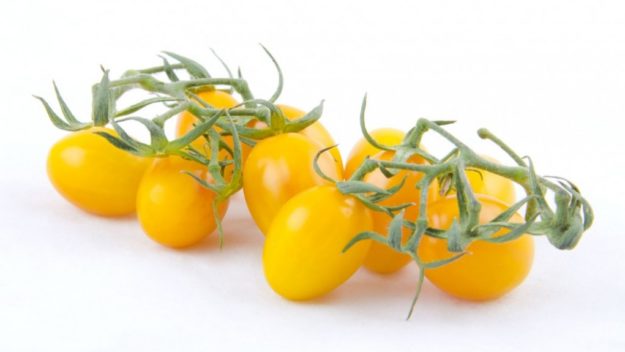 Pomodorino Giallo Pomodorino Giallo