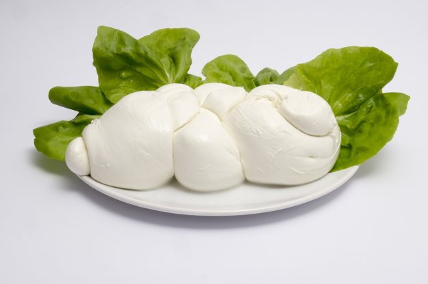 friarielli cosa sono friarielli cosa sono